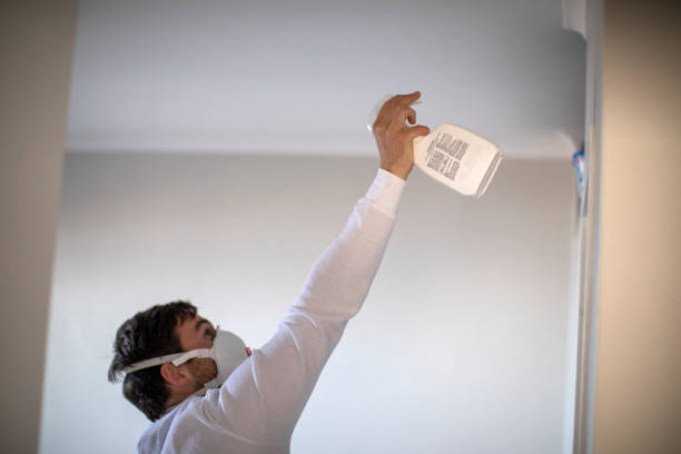 Best Residential Mold Remediation in Watergate, FL