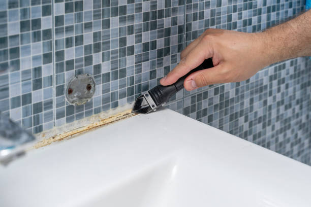 Best Residential Mold Remediation in Watergate, FL