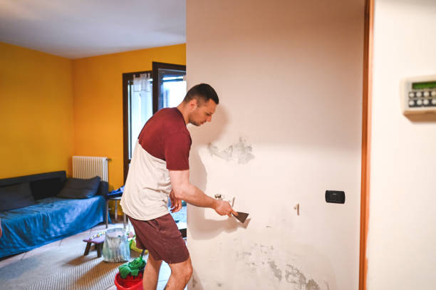 Best Emergency Mold Remediation in Watergate, FL